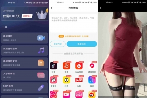 短视频一键搬运V1.8.4 短视频一键解析