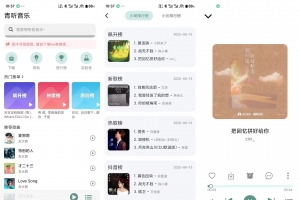 【青听音乐】1.0.7 全新听歌平台 无损免费听